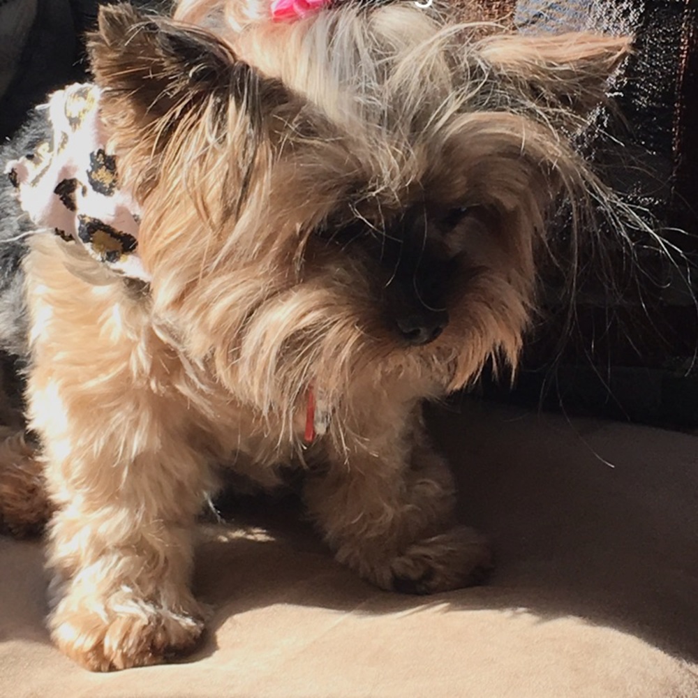 Meet your Posher, Lynne